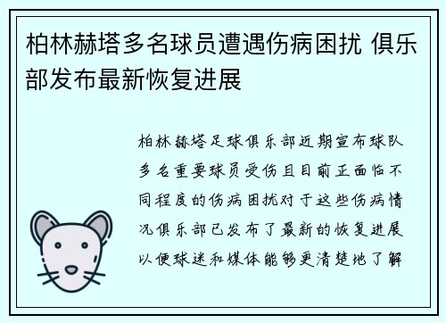 柏林赫塔多名球员遭遇伤病困扰 俱乐部发布最新恢复进展
